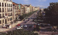 anmesia7.jpg